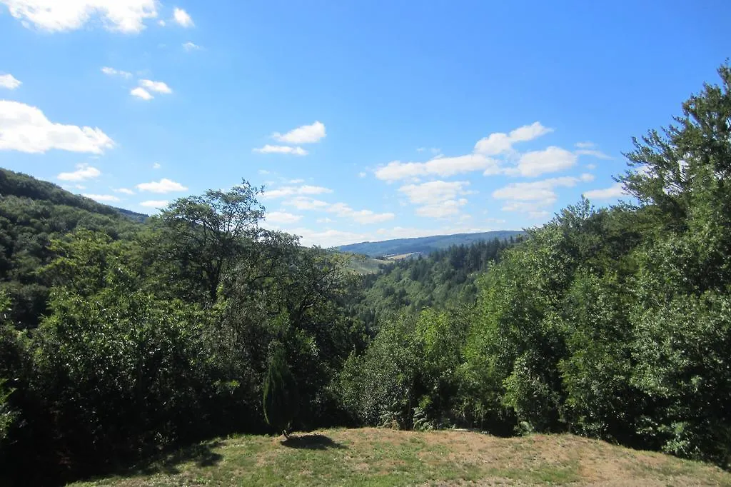 Maison Au Milieu De La Foret Labastide-Rouairoux France