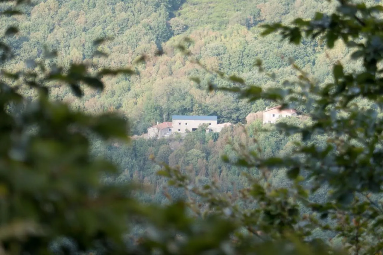 Hébergement de vacances Maison Au Milieu De La Foret Labastide-Rouairoux