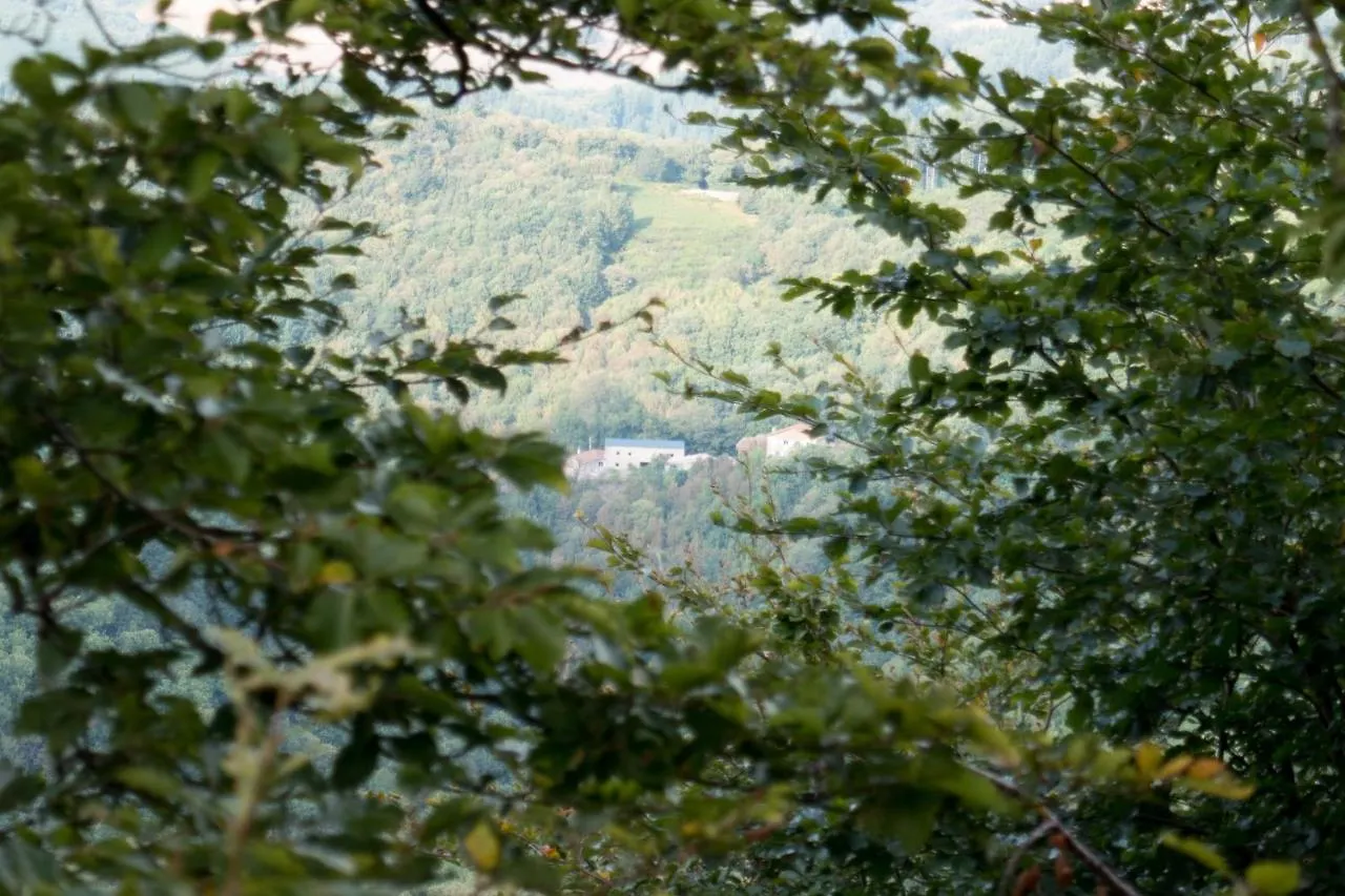 Maison Au Milieu De La Foret Labastide-Rouairoux 0*,  France