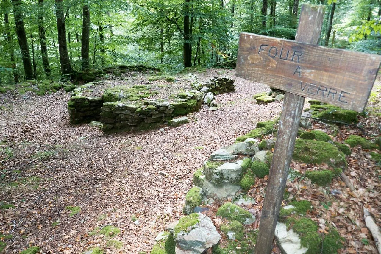 Hébergement de vacances Maison Au Milieu De La Foret Labastide-Rouairoux France