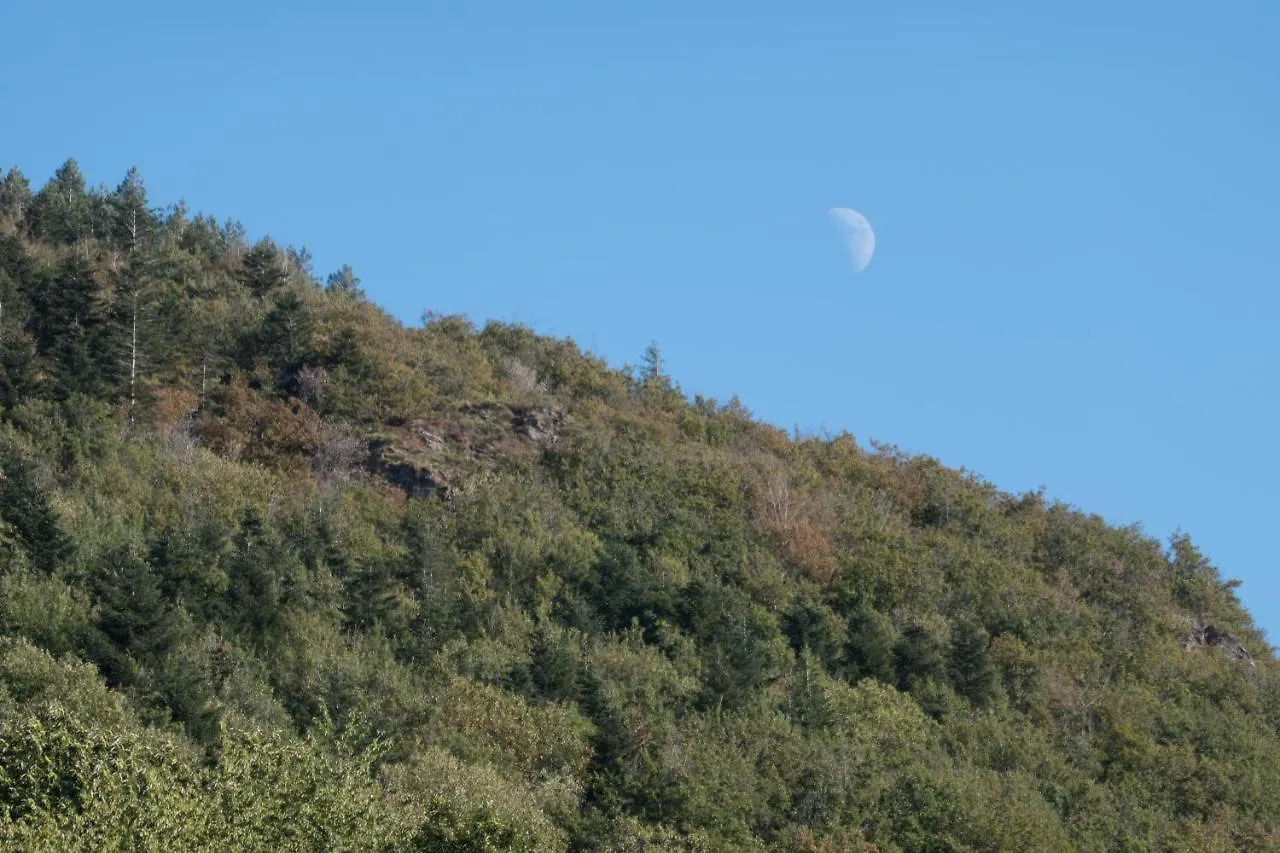 Hébergement de vacances Maison Au Milieu De La Foret Labastide-Rouairoux